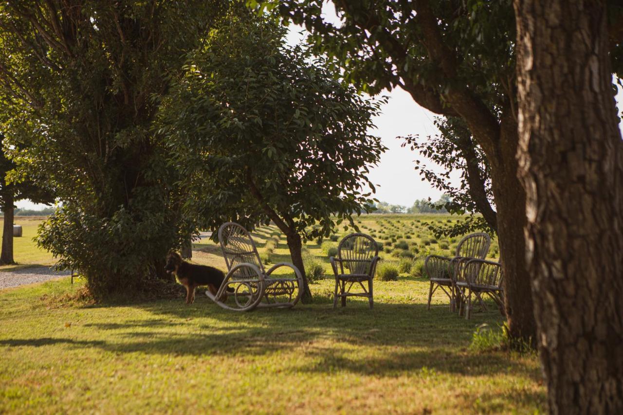Agriturismo Il Capitolo Carpaneto Piacentino エクステリア 写真
