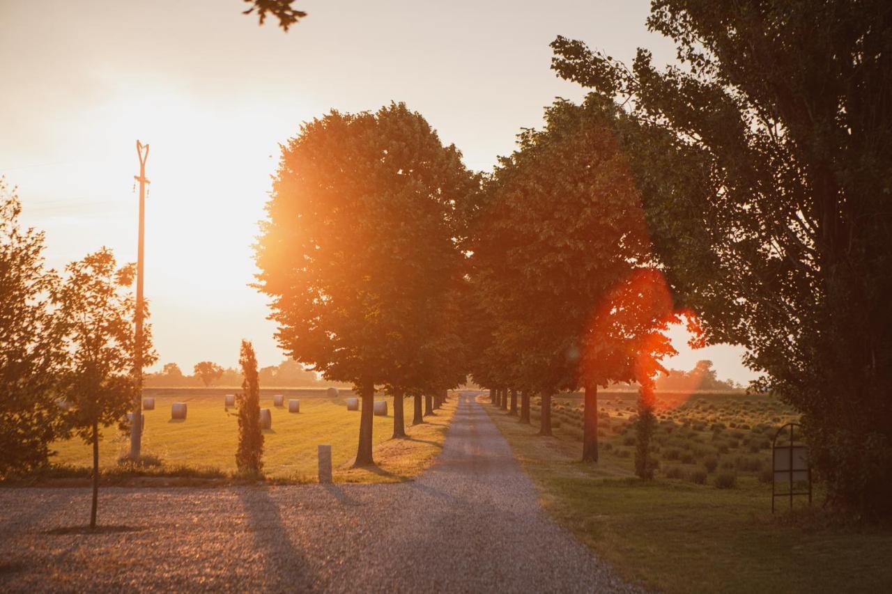 Agriturismo Il Capitolo Carpaneto Piacentino エクステリア 写真