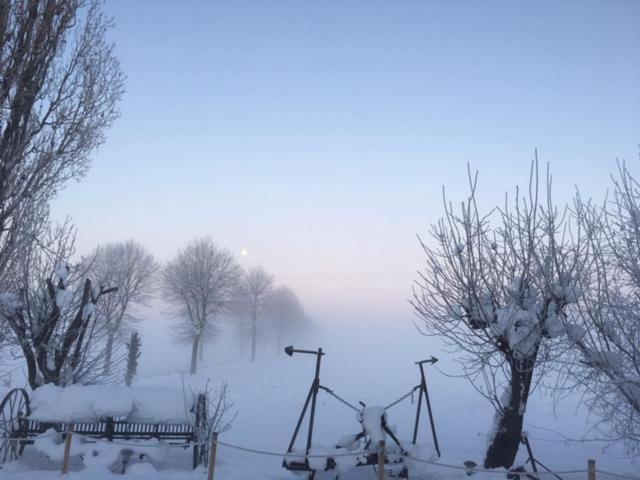 Agriturismo Il Capitolo Carpaneto Piacentino エクステリア 写真